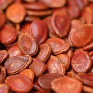 تخمه هندوانه