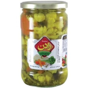 ترشی سالادی رادن